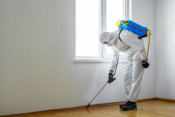 Best Best Pest Control Companies  in South Hill, NY