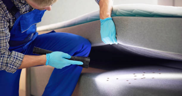 Best Rat Extermination Near Me  in South Hill, NY
