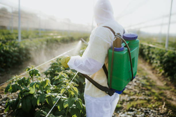 Best Commercial Pest Control Services  in South Hill, NY